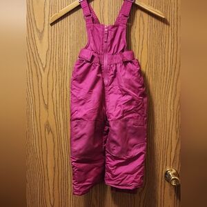 Cat & Jack Fuchsia Snowpants
